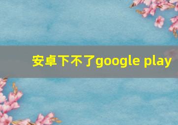 安卓下不了google play